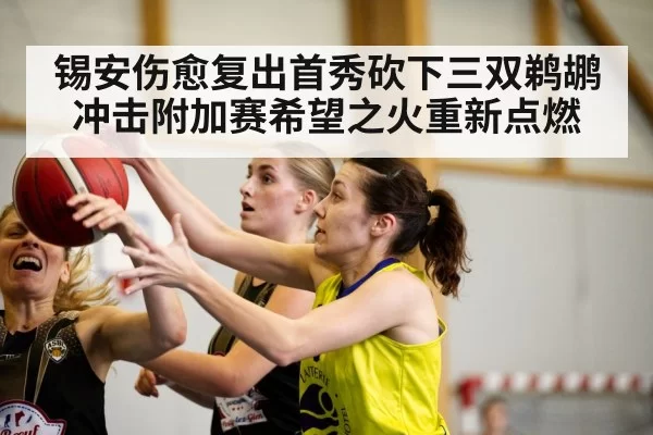锡安伤愈复出首秀砍下三双鹈鹕冲击附加赛希望之火重新点燃